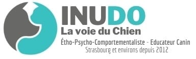 INUDO logo